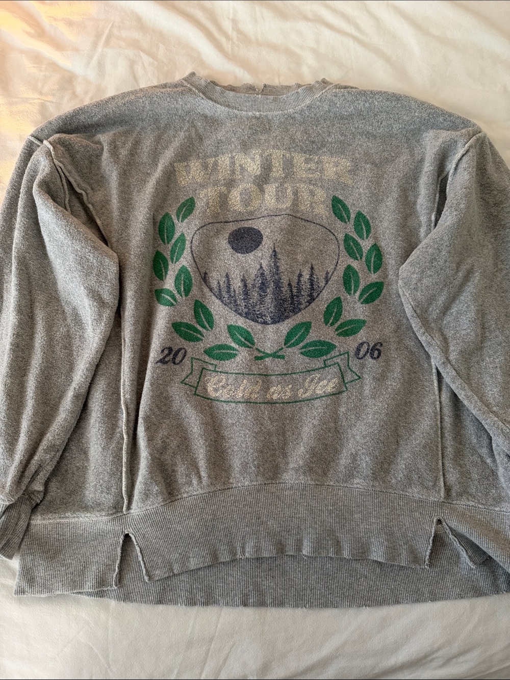 aerie Gray Crewneck Sweatshirt with Green & Navy Graphic